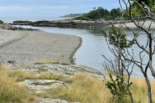 The beach at Great Misery Island looking out at Bakers Island in Salem Sound.