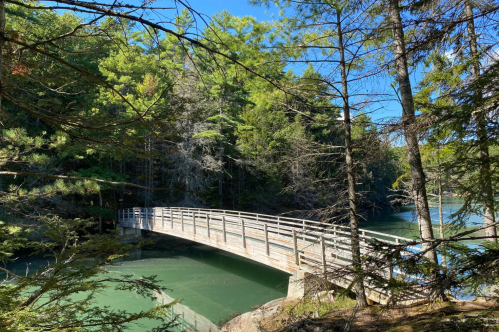 A wooden footbridge at Oven's Mouth Preserve spans an emerald-green inlet, surrounded by lush trees under a clear sky.