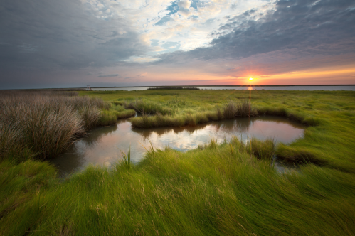 A vibrant sunset over the tidal marshes and winding creeks of Smith Island, with golden light reflecting on the water.