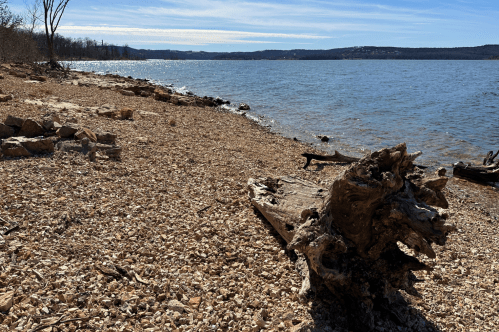 A pebble beach and driftwood line the shores of a turquoise lake.