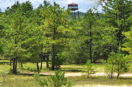 Mississippi River Road Trip Itinerary: Charming Towns