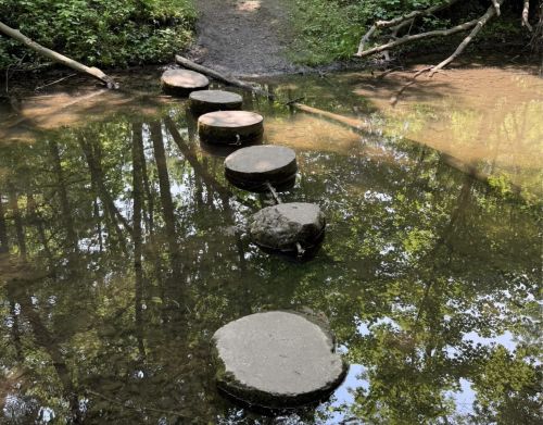 Concrete stepping stones in a creek.
