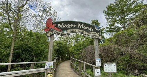 Birding Trail in OH with red cardinal at the beginning