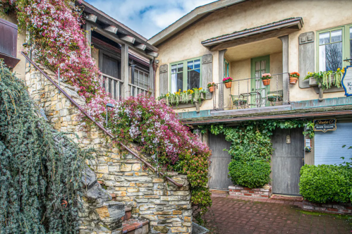 A cottage-influenced building with plants and flowers growing all over it.