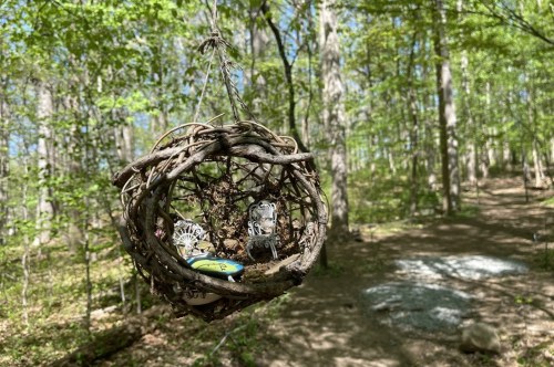 A circular structure made of wood houses two little chairs and a table and hangs from a tree in a forest.
