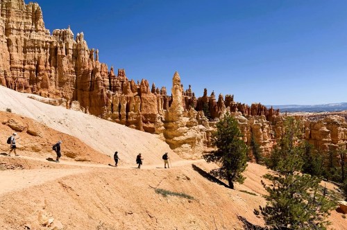 Several hikers on the Peekaboo Loop in Bryce Canyon, featuring a dramatic landscape with towering rock spires, hoodoos, and dotted with several trees.
