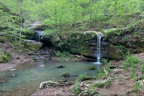 A lush, green forest surrounding a small waterfall along the Goreville Boy Scout Trail