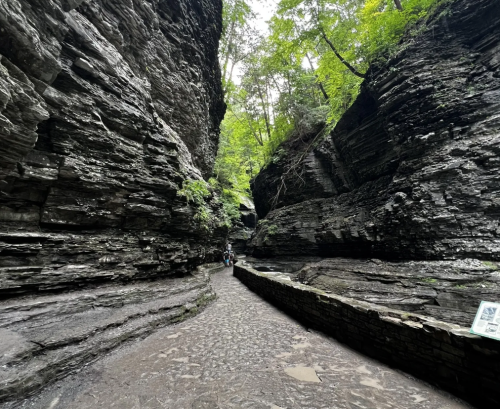 Narrow stone trail with steep stone walls in Watkins Glen State Park