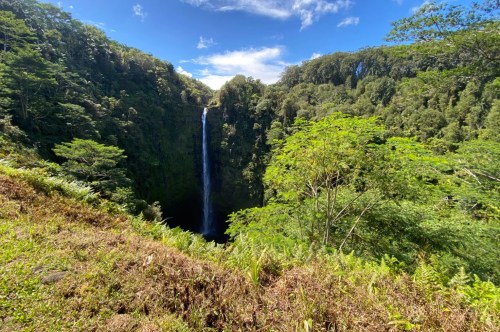 Green trees and plants surround a long thin waterfall with a blue sky overhead.