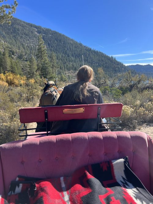 A horse and carriage ride in Lake Tahoe