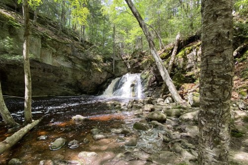A small, deep waterfall falls into a little pool with a river flowing outwards and trees and stone surrounding it.