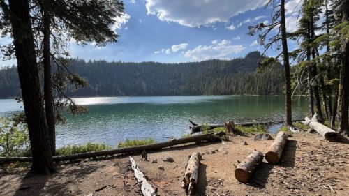 Logs are scattered on the shore of aa lake with mountains in the back and a cloudy sky overhead.