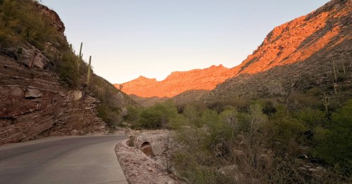 the sabino tram road runs throufh desert and mountains at. sabino canyon recreation area in tucson