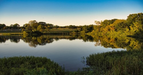 a large lake with hundreds of trees surrounding on a clear summer day at shawnee mission park