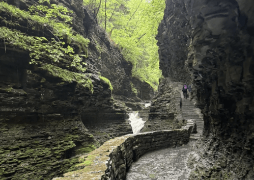 Narrow stone pathway with small waterfall in Watkins Glen State Park