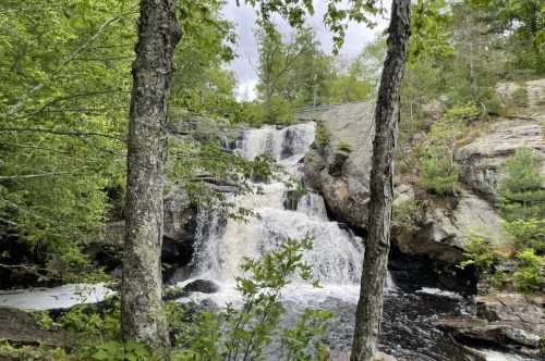 A waterfall pours in between thick rocks behind two thin trees.
