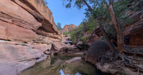 view of a waterfall flowing into a swimming hole at zion national park in utah