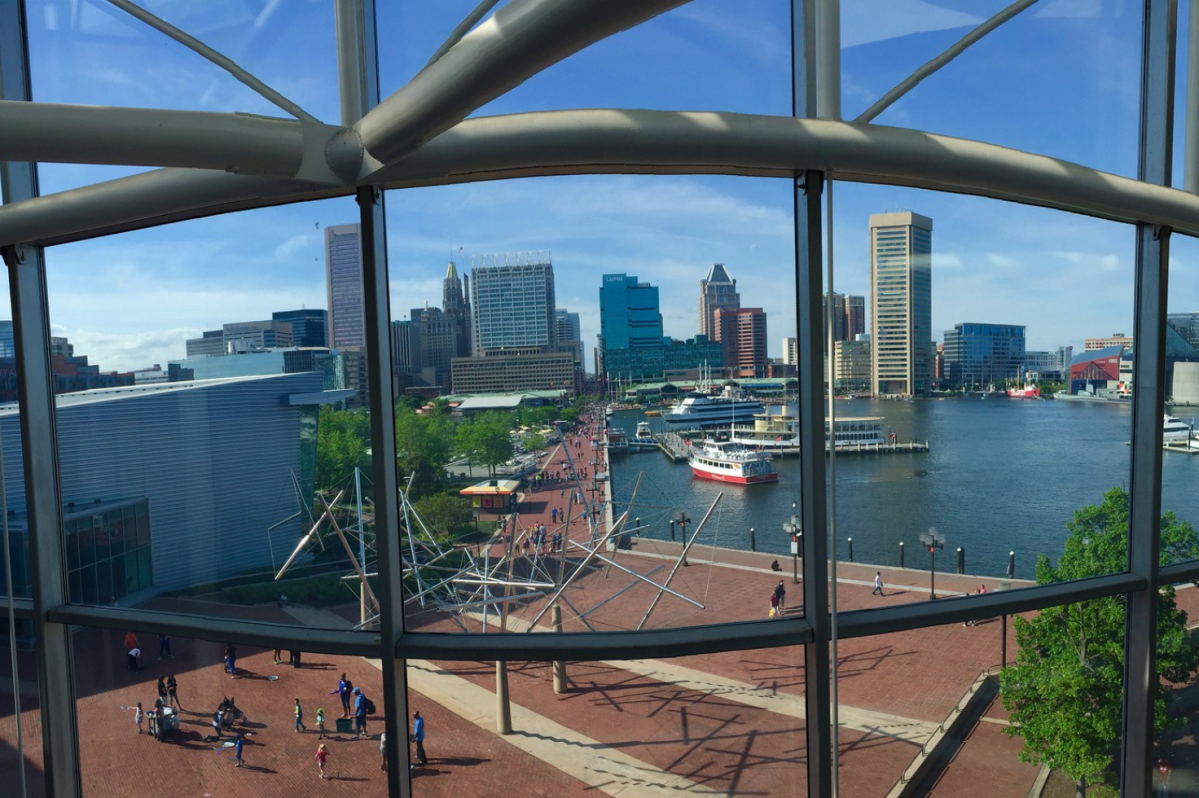It’s Hot Outside—But This Baltimore Museum Is Full of Wonder and Imagination (Plus Air Conditioning)
