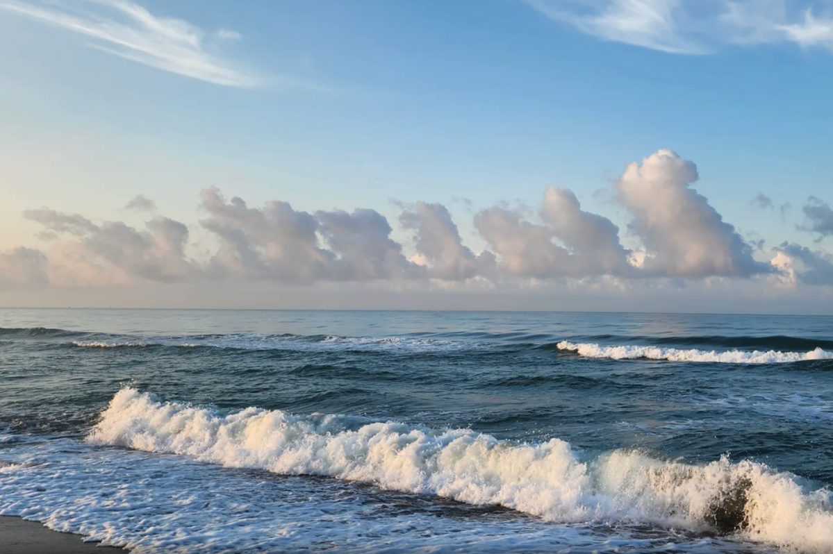 Adventure's Calling: This Beach Is Ideal for Beachcombing in North Carolina