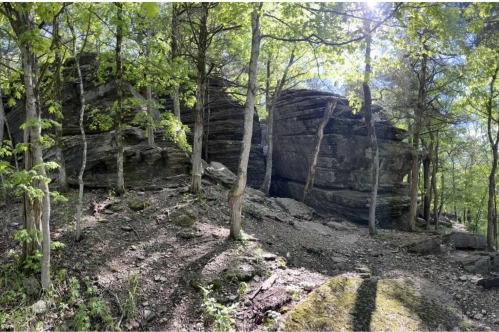 A large rock formation is visible amid a forest with a scattering of trees.