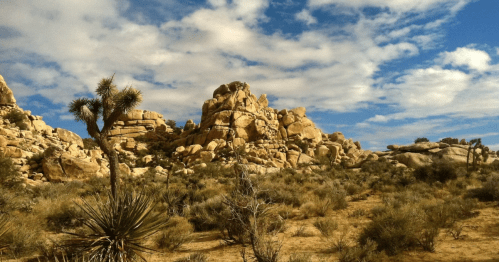A formation of desert rocks are photographed at golden hour beneath a blue sky.