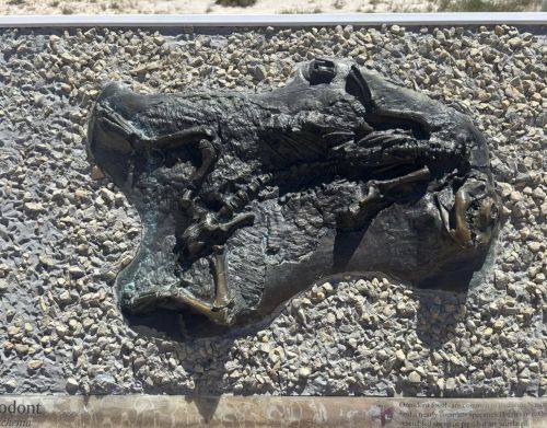 A black replica of a fossil on a plaque.