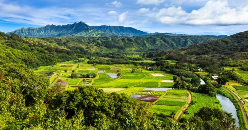An aerial view of fields, mountains, and homes near Hanalei, Hawaii.