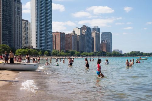 People are swimming in a lake with skyscrapers in the background.