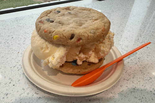 Ice cream sandwich with two large M&M cookies filled with vanilla ice cream