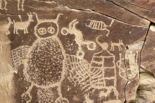 A close up of the owl drawing