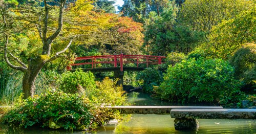 A red bridge crosses over a shallow pond in Seattle's Kubota Garden.