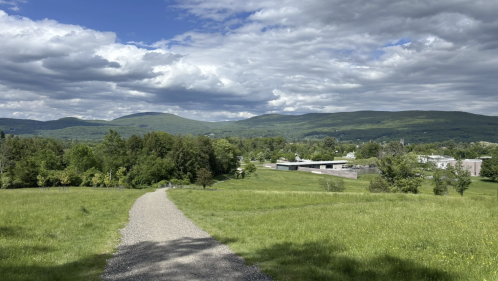 A gravel path leads through a field with mountains in the distance.