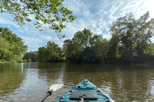 The front end of a teal kayak rests in a river surrounded by tall trees