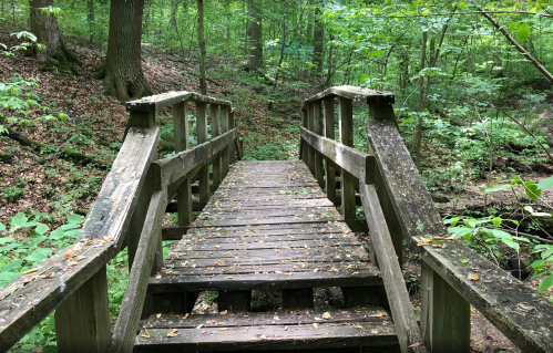 A leaf covered wooden walkway and bridge in Hueston Woods, Ohio