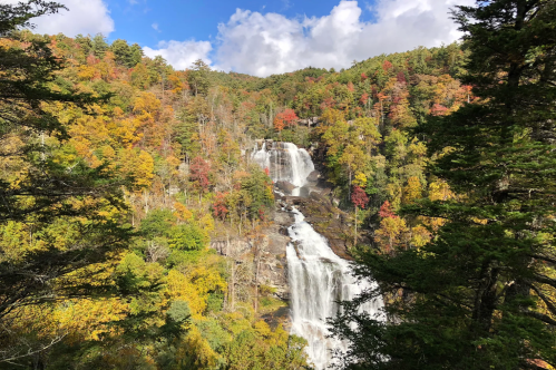Fall foliage around Whitewater Falls, Nantahala National Forest, NC