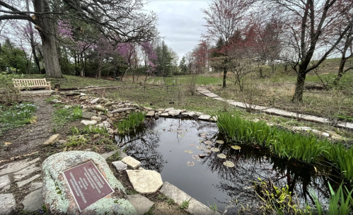 Open green space at Stacy Park