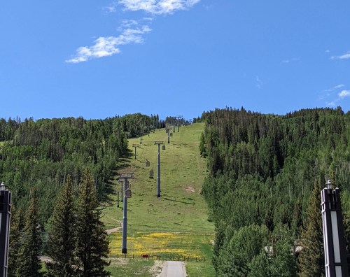 Trails in Vail