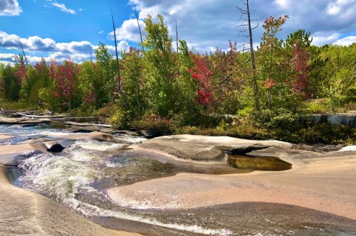 A forest is changing to autumn with red trees overtaking green. A river passes slowly over smooth rocks to create a natural waterslide.