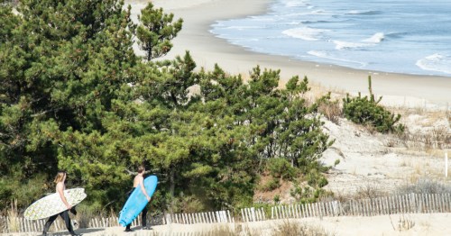 two surfers carrying surfboards head to the beach at cape henlopen state park in lewes delaware