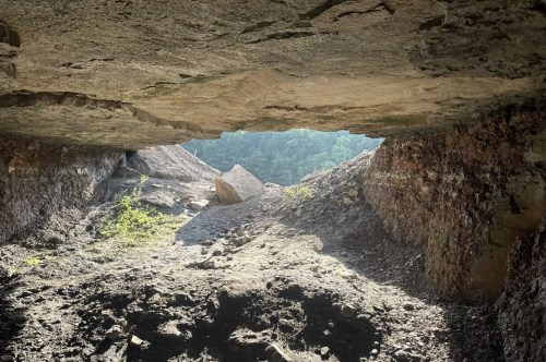 The inside of a rocky cave looking out onto a forest through a thin opening.