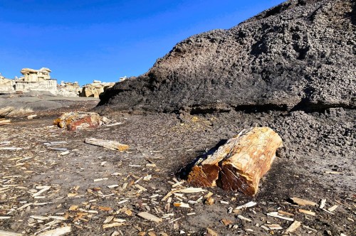 Fossilized wood scattered across a dark gray desert landscape, with views of hoodoos and rock formations in the distance at the Ah-Shi-Sle-Pah Wilderness Area in NM