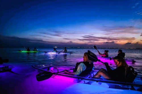 Nighttime views of several kayakers paddling in glow-in-the-dark kayaks on a scenic lake in Orlando, Florida.
