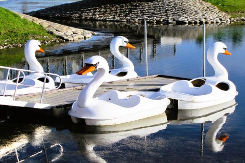 Views of several empty swan pedal boats docked at a marina inside a community park in Nebraska.