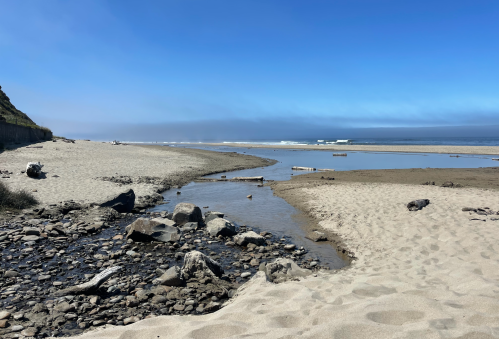 A river with lots of rocks cuts through a beach before it reaches the ocean.