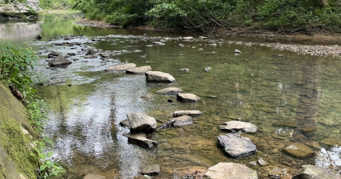A calm river with various stones in it at Sentry Bluff Trail in Illinois.