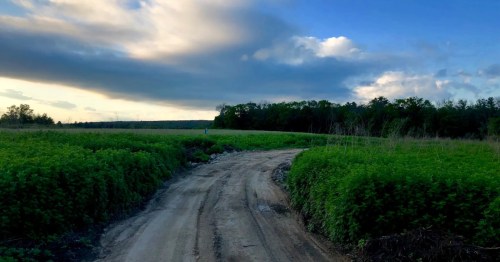 a dirt trail surroundedby greenery under a cloudy sky in richmond rhode island