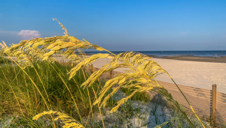Bay St. Louis Beach