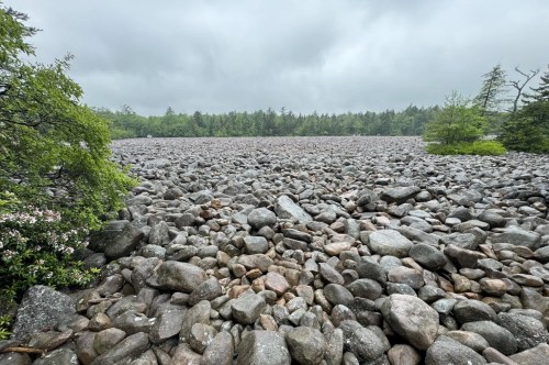 A cloudy, misty day over a boulder field in the middle of a forest.