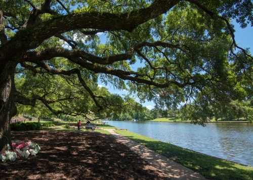 Roque House Gardens, Natchitoches, LA - river, trees, and sunshine on a beautiful day
