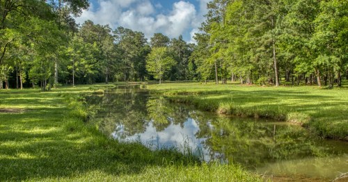 Beautiful scenery of the deep south in Louisiana